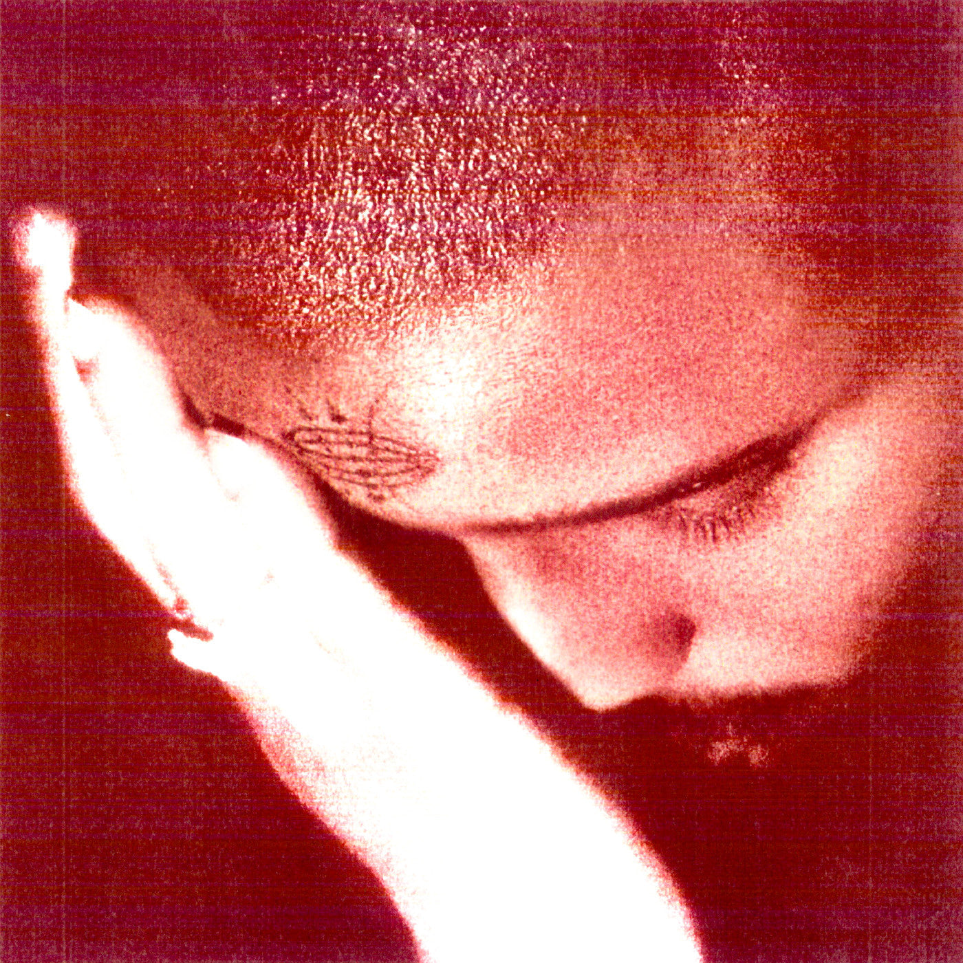 Nourished By Time - The Passionate Ones | CD