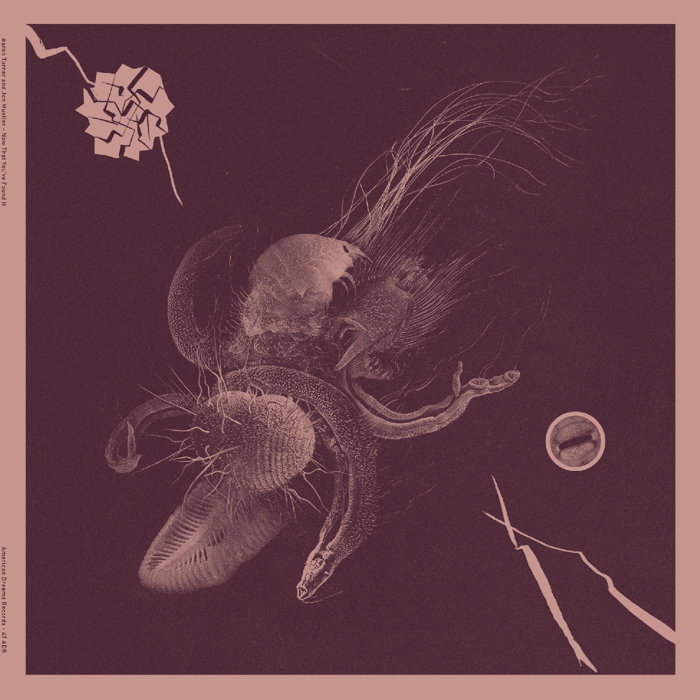 Aaron & Jon Mueller Turner | Now That You've Found It | Vinyl
