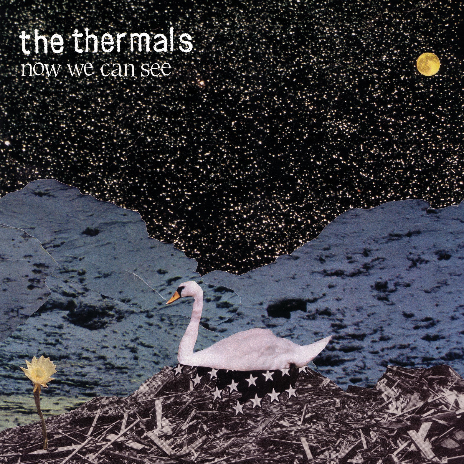 The Thermals - Now We Can See | CD