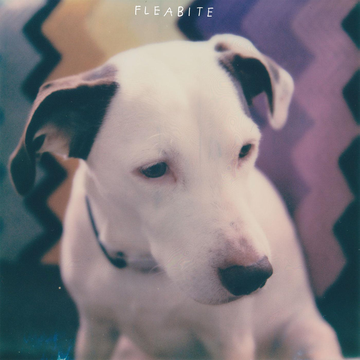 Fleabite - NVM | Vinyl