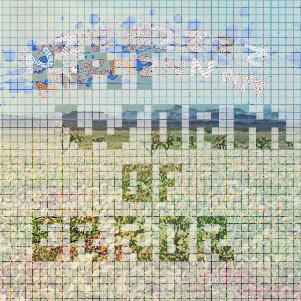FAT WORM OF ERROR - Nzznzzzznnznznnn | Vinyl