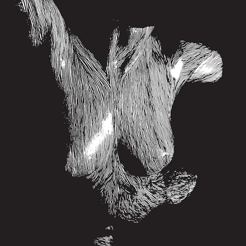 Oceansize | Self Preserved While The Bodies Float Up (15Th Anniversary) [3Lp] | Vinyl