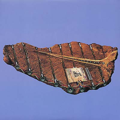 PHOENECIA - Odd Job | Vinyl
