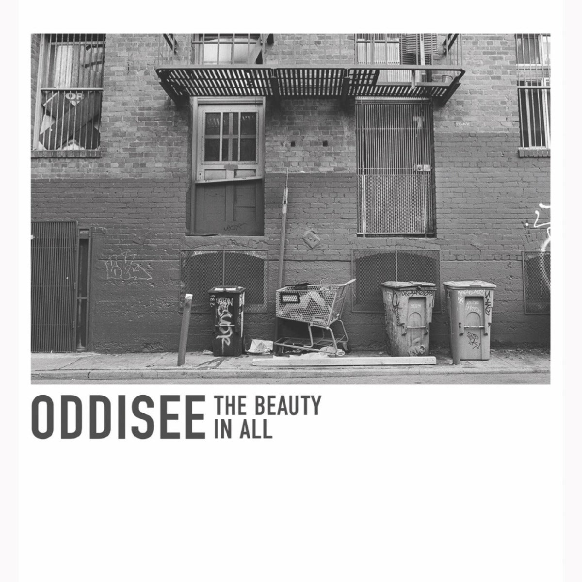 Oddisee | The Beauty In All (Indie Exclusive, Opaque Purple Colored Vinyl | Vinyl - 0