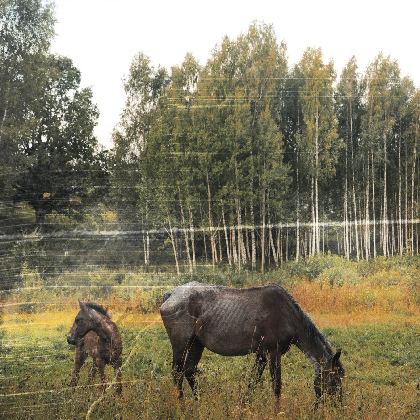 Pianos Become The Teeth | Old Pride (FOREST GREEN VINYL) | Vinyl