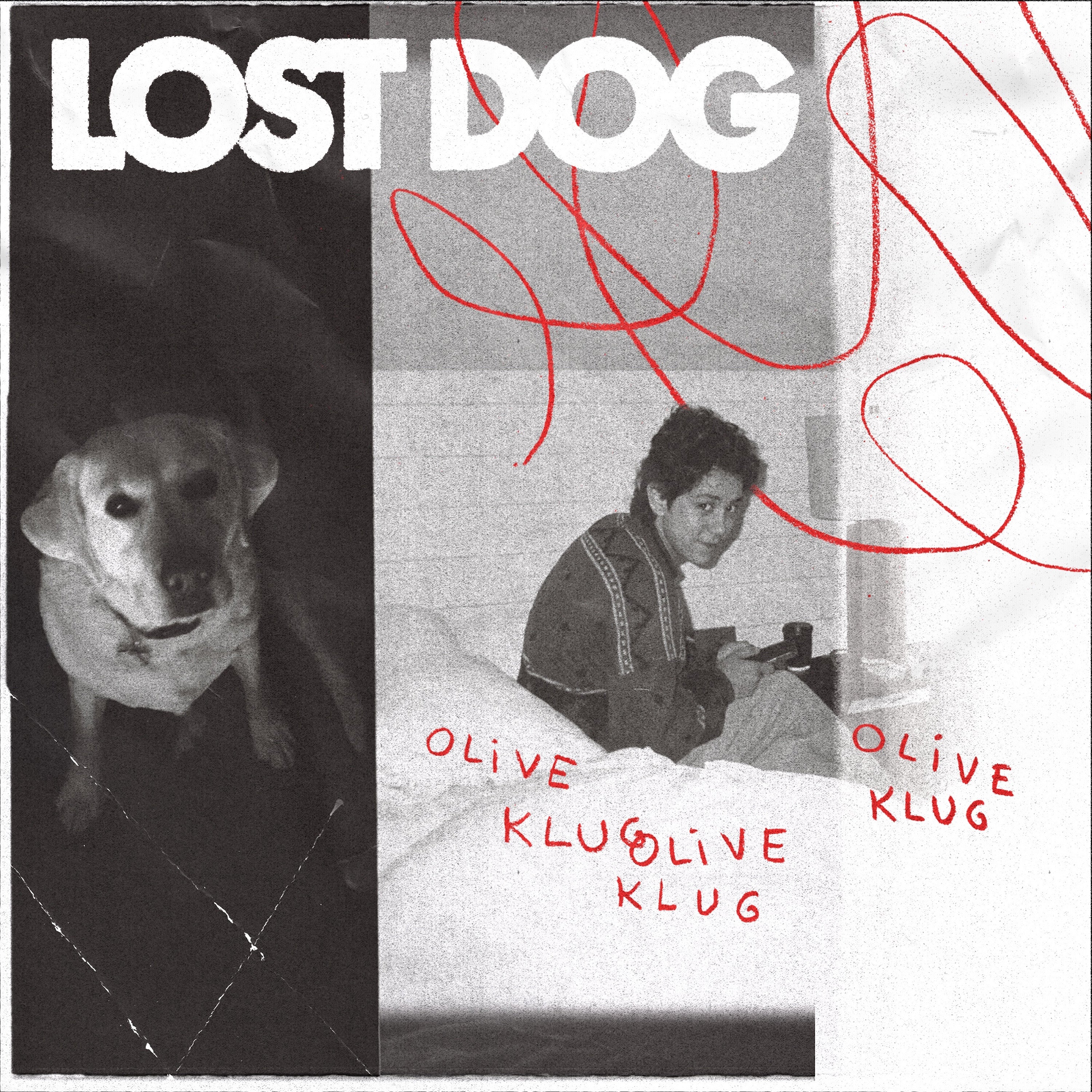 Olive Klug - Lost Dog | CD