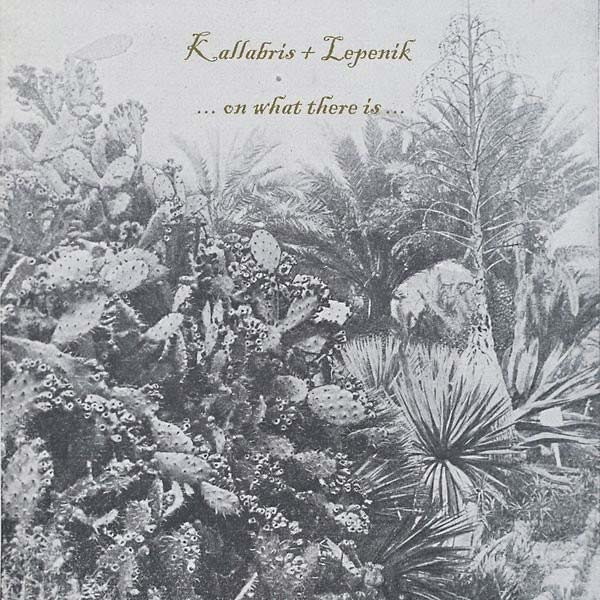 KALLABRIS + LEPENIK - ...on what there is... | Vinyl