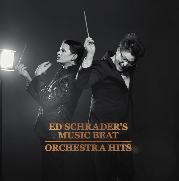 Ed Schrader'S Music Beat - Orchestra Hits | Vinyl
