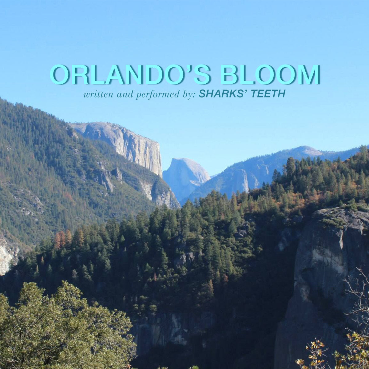 Sharks' Teeth - Orlando's Bloom | Cassette