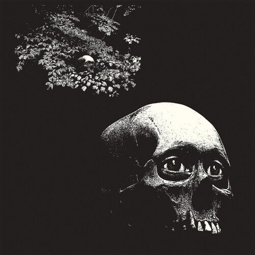 Osees - A Foul Form | Vinyl