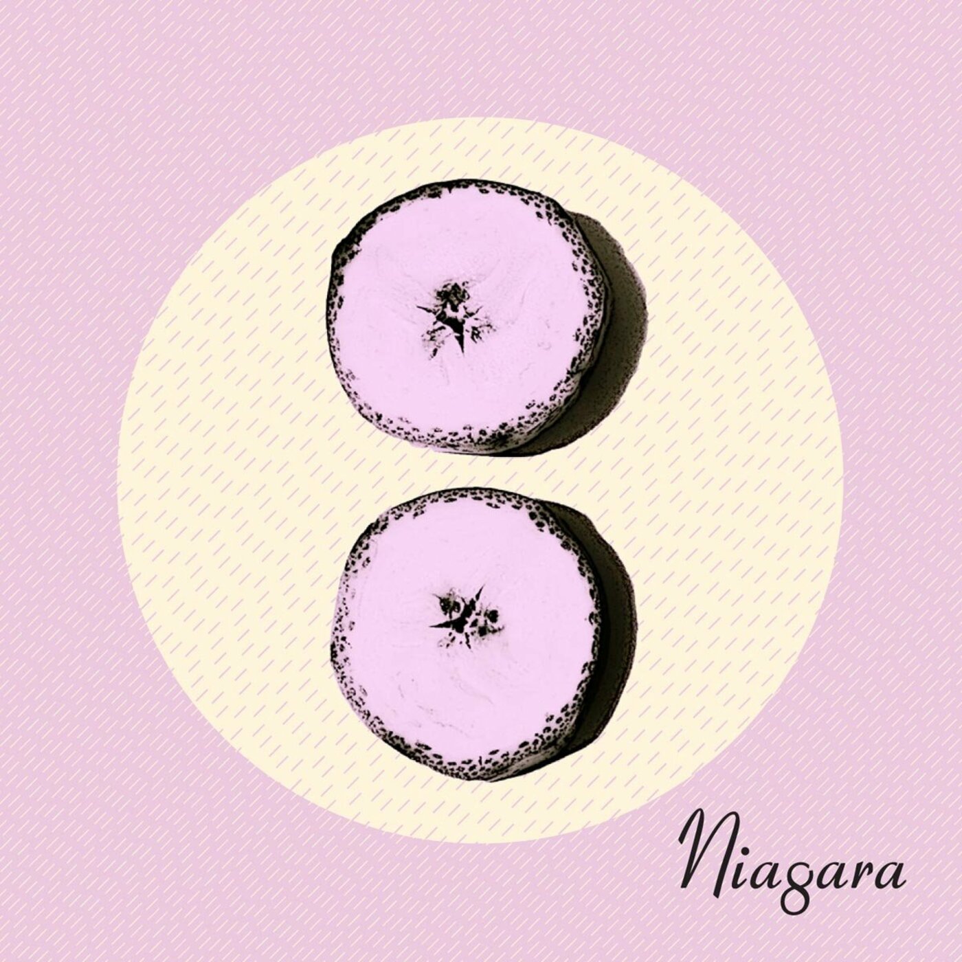 Niagara | Otto | CD