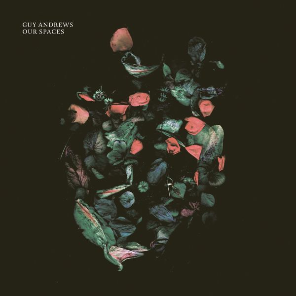 Guy Andrews - Our Spaces | Vinyl