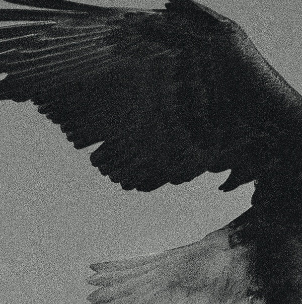 DISSEMBLANCE - Over The Sand | Vinyl