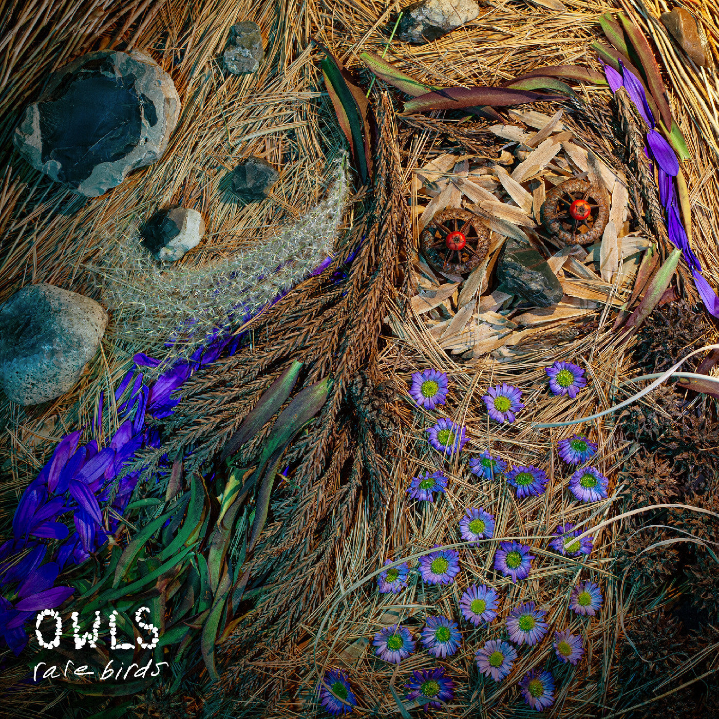 Owls | Rare Birds | Vinyl
