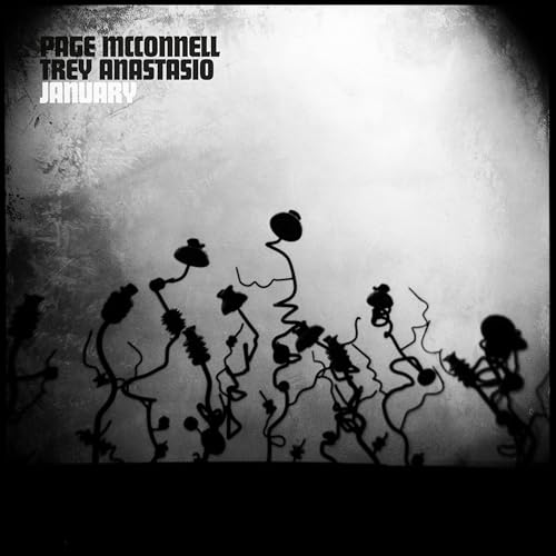 Page McConnell & Trey Anastasio - January | Vinyl