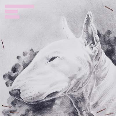 TERRANOVA - Painkiller EP | Vinyl