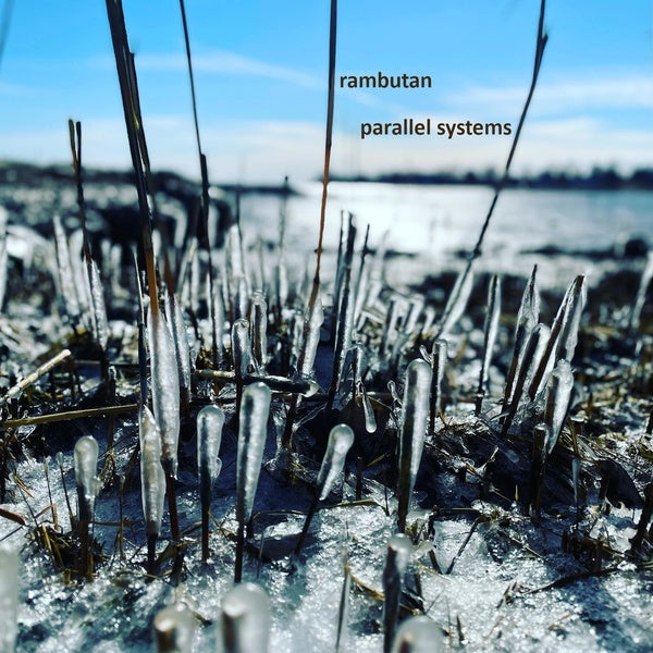 RAMBUTAN - Parallel Systems | CD