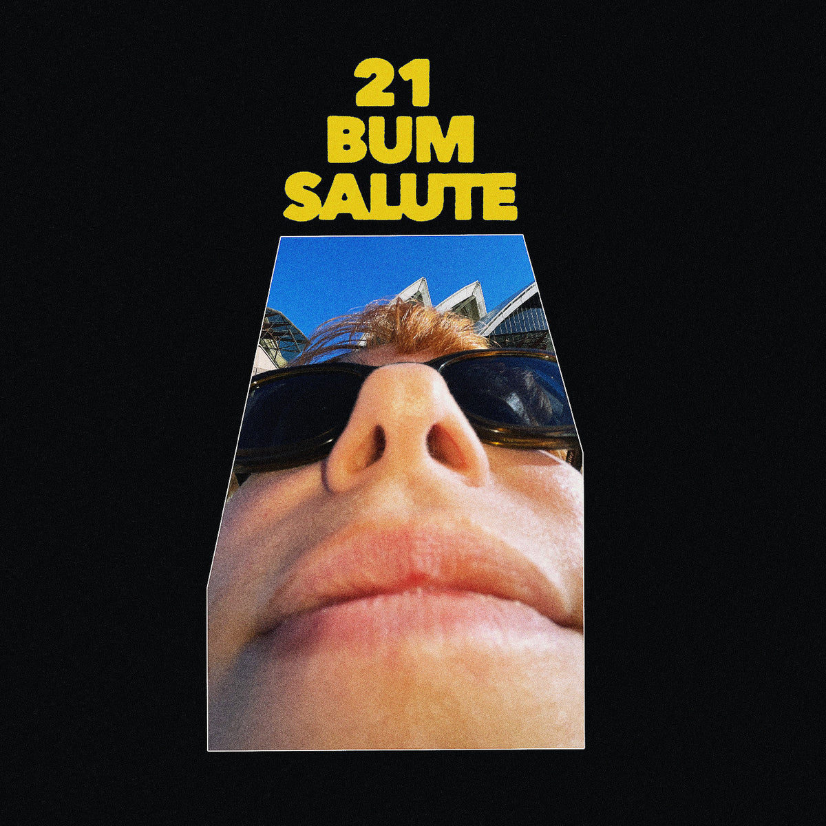 Party Dozen - 21 Bum Salute (Indie Exclusive) [Clear Vinyl] | Vinyl