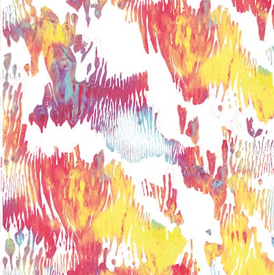 XIPHIIDAE - Pass Hidingly Seek | Vinyl