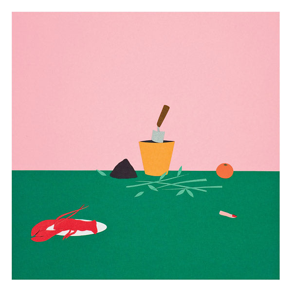 LE FRUIT VERT - Passiflore | Vinyl