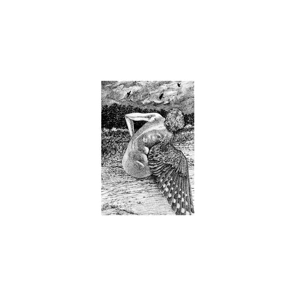 Patrick Lysaght - For The Birds [LP] | Vinyl