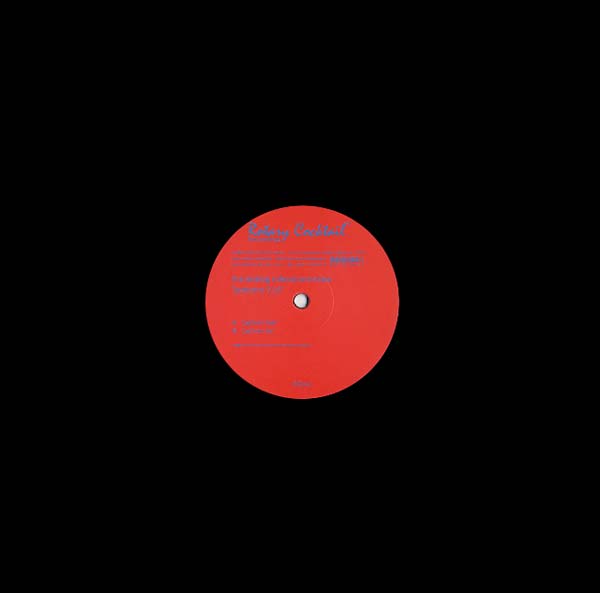 THE ANALOG ROLAND ORCHESTRA - Patterns 5/6 | Vinyl
