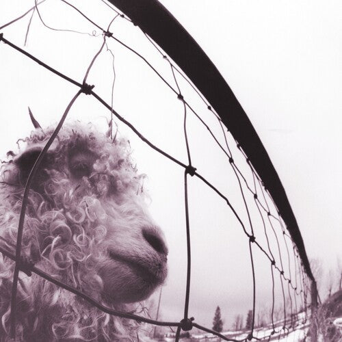 Pearl Jam - Vs. (Clear Vinyl) | Vinyl