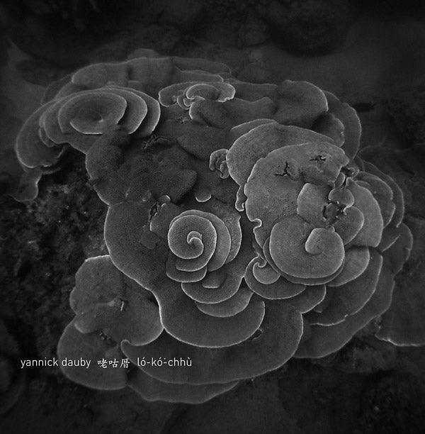 YANNICK DAUBY - Penghu Experimental Sound Studio Vol. 2 | Vinyl