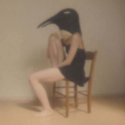 Various Artists - Penguin Cafe Orchestra-Tribute- | Vinyl