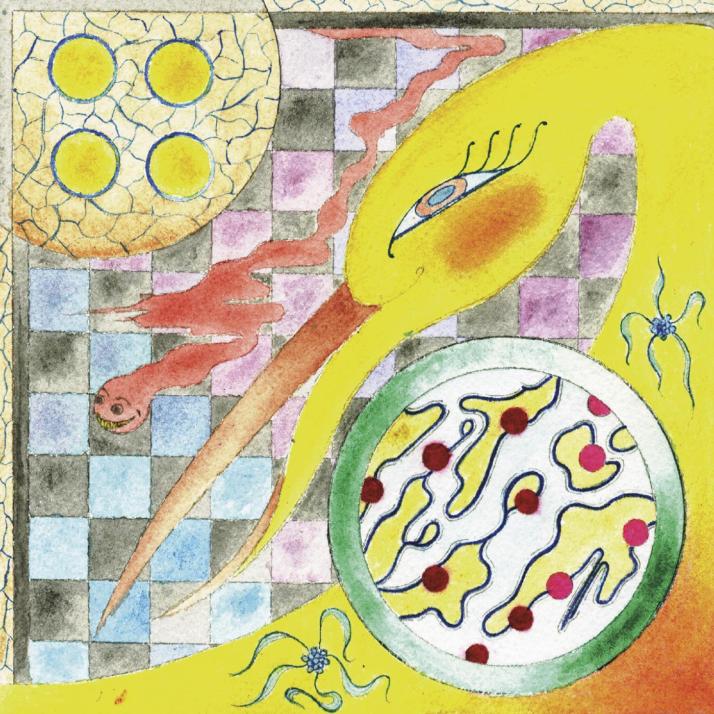Wand - Perfume | CD