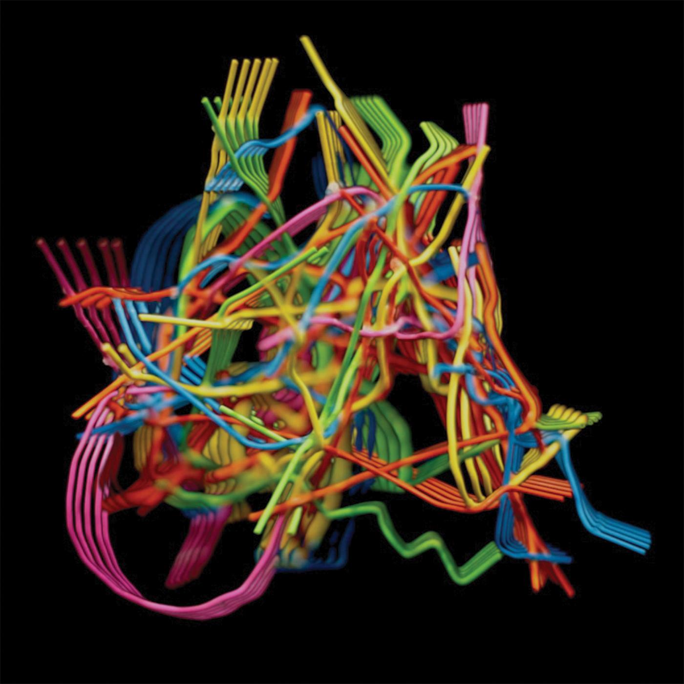 Dustin Wong - Perpetual Morphosis | CD