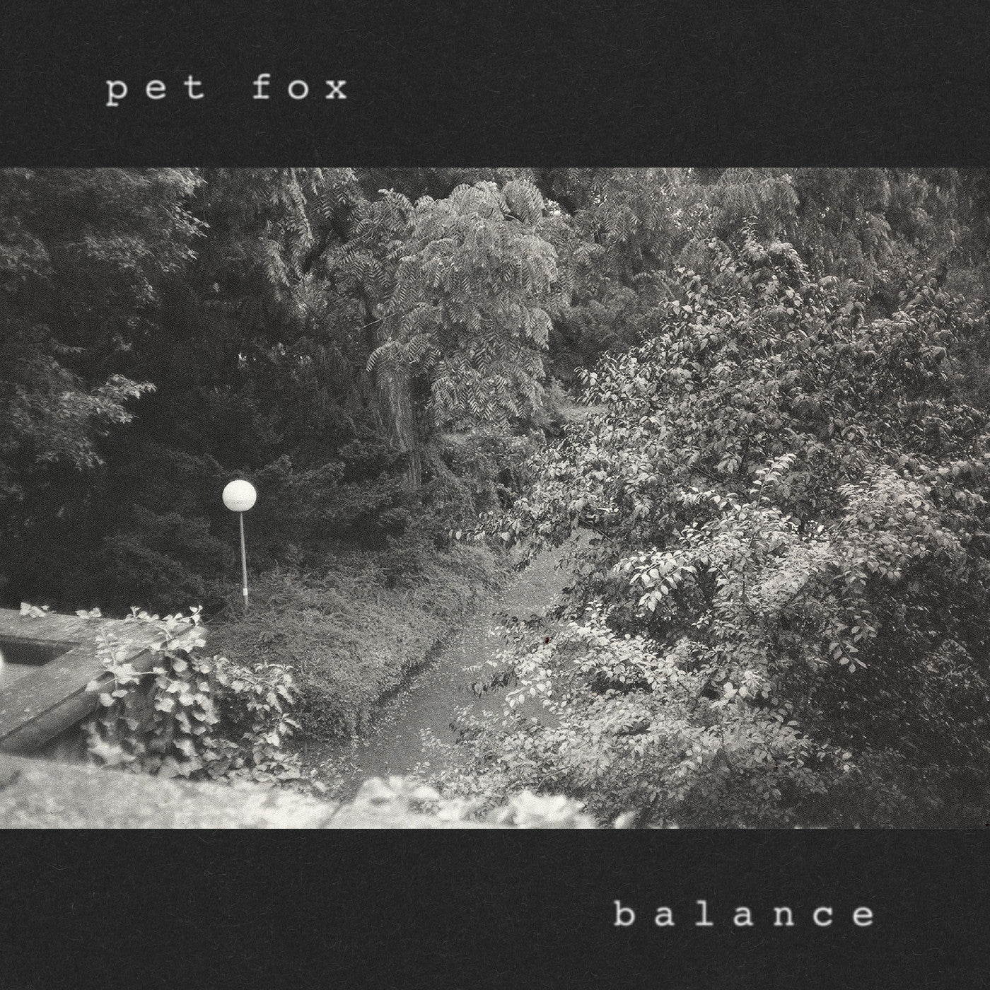 Pet Fox - Balance (Cobweb Colored Vinyl) | Vinyl