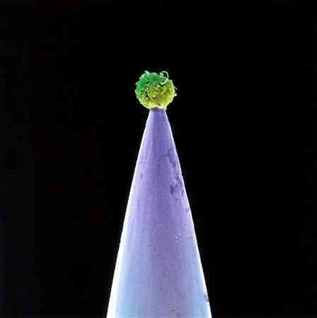 Peter Gabriel - New Blood (Special Edition) (2 Cd's) | CD