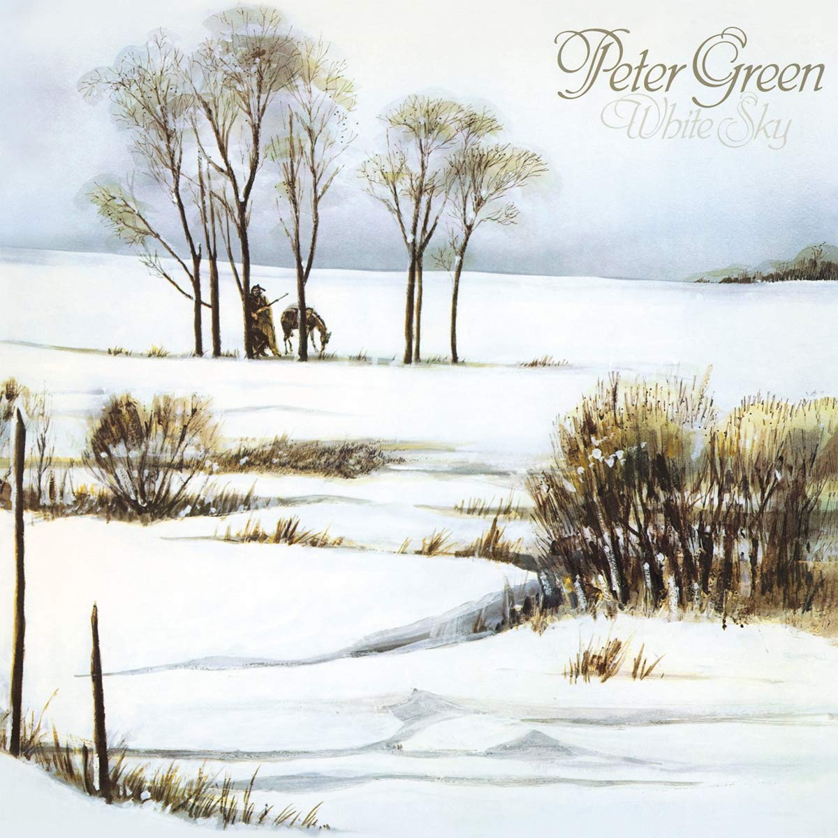 Peter Green - White Sky [180-Gram Black Vinyl] | Vinyl