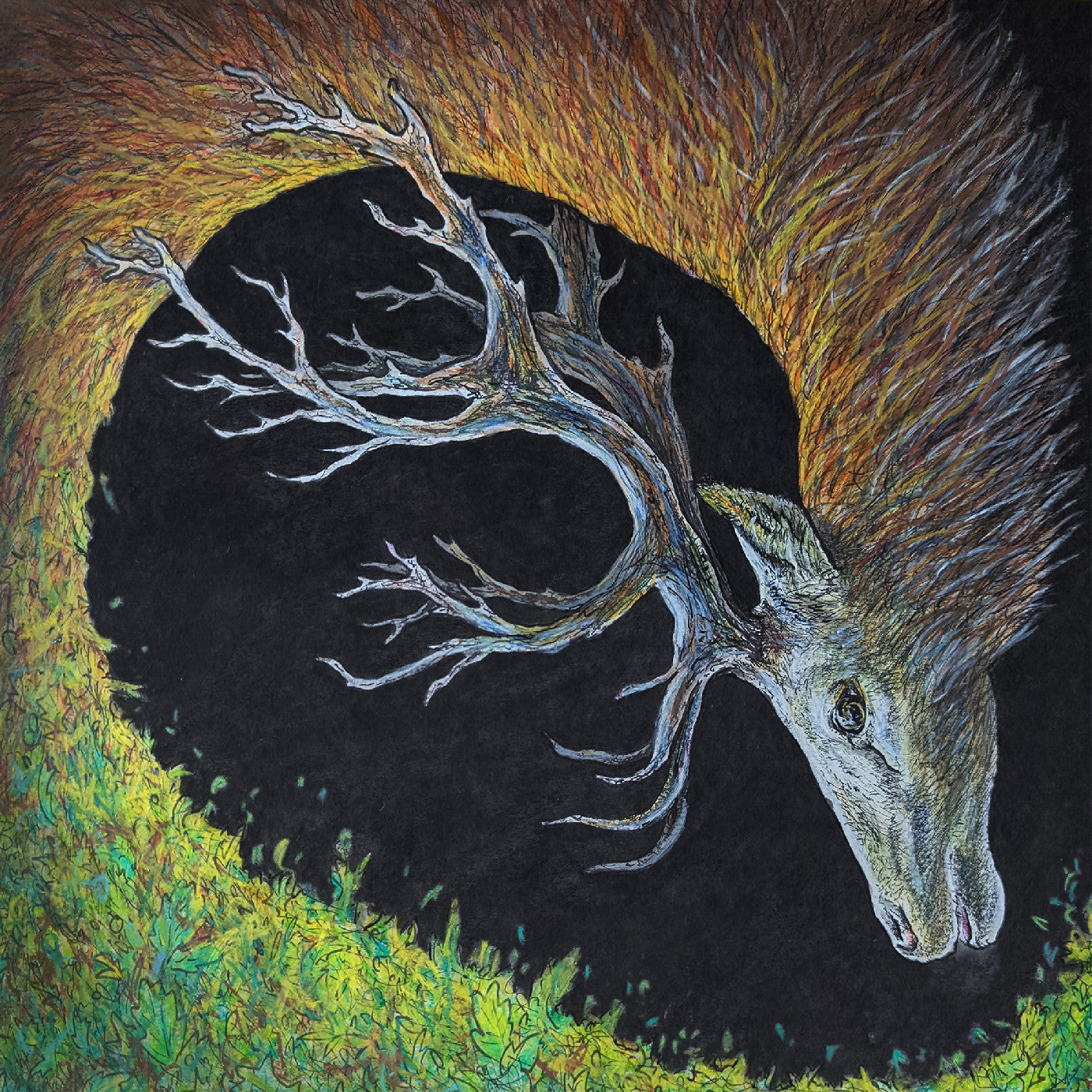 Petrels - Infangthief | CD