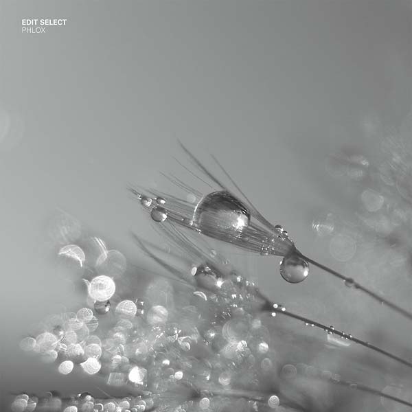 EDIT SELECT - Phlox | Vinyl
