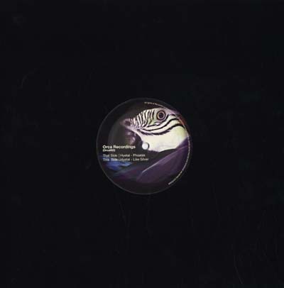 HYETAL - Phoenix/Like Silver | Vinyl
