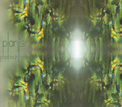 PLANTS - Photosynthesis | CD