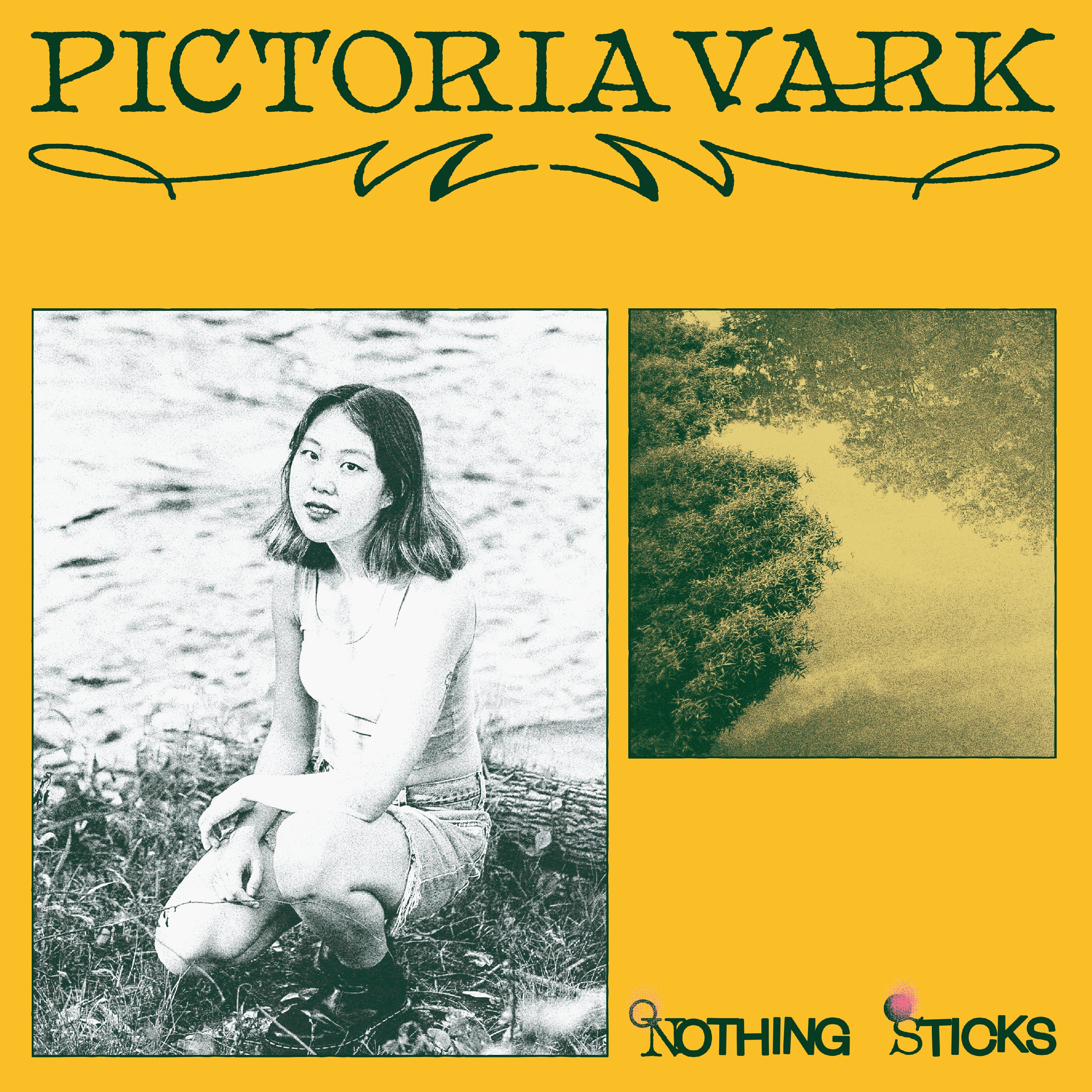 Pictoria Vark | Nothing Sticks | Vinyl