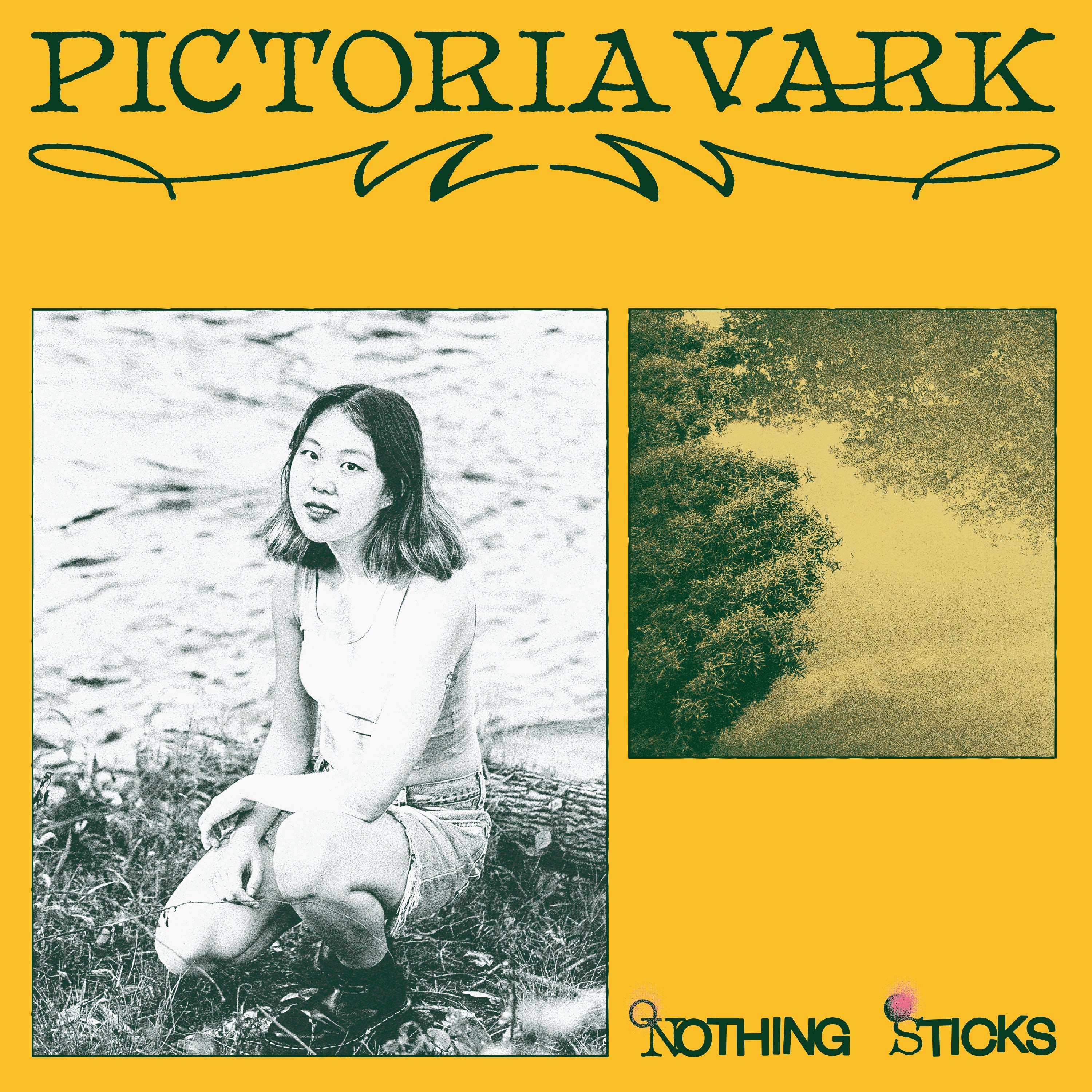 Pictoria Vark - Nothing Sticks | Vinyl