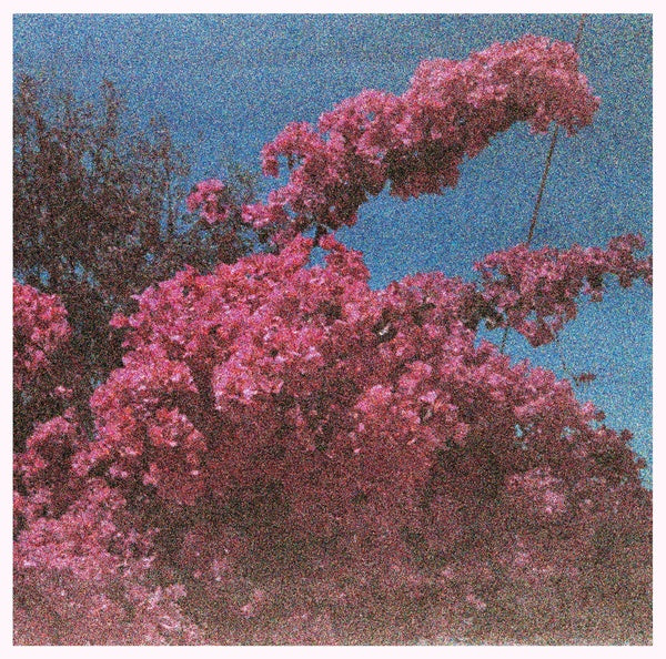 ELISABETH KLINCK - Picture a Frame | Vinyl
