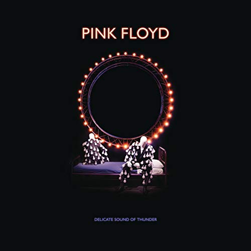 Pink Floyd - Delicate Sound Of Thunder - Restored, Re-Edited, Remixed | CD