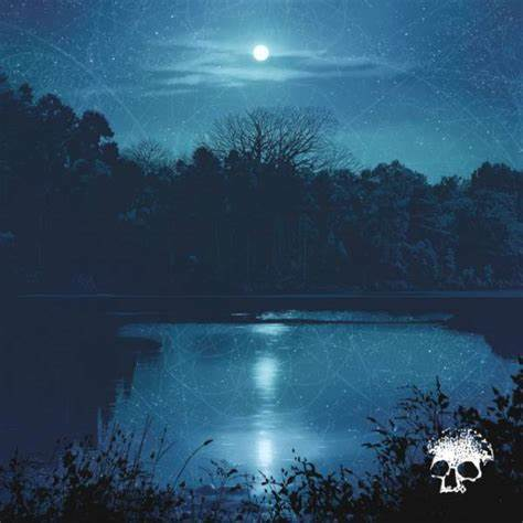 Planes Mistaken for Stars - Do You Still Love Me? | CD