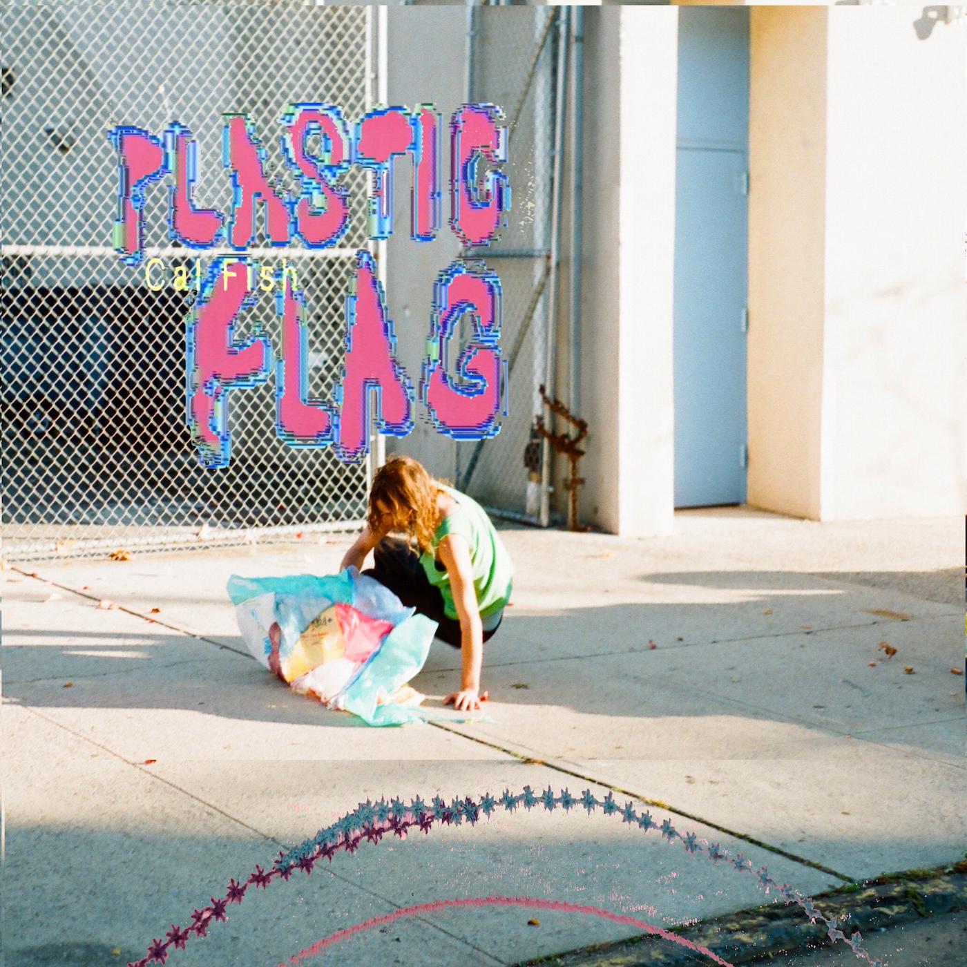 Cal Fish | Plastic Flag | Vinyl
