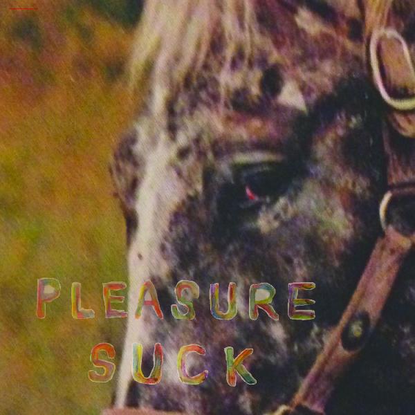 SPIRIT OF THE BEEHIVE | Pleasure Suck (TRANSPARENT ORANGE VINYL) | Vinyl