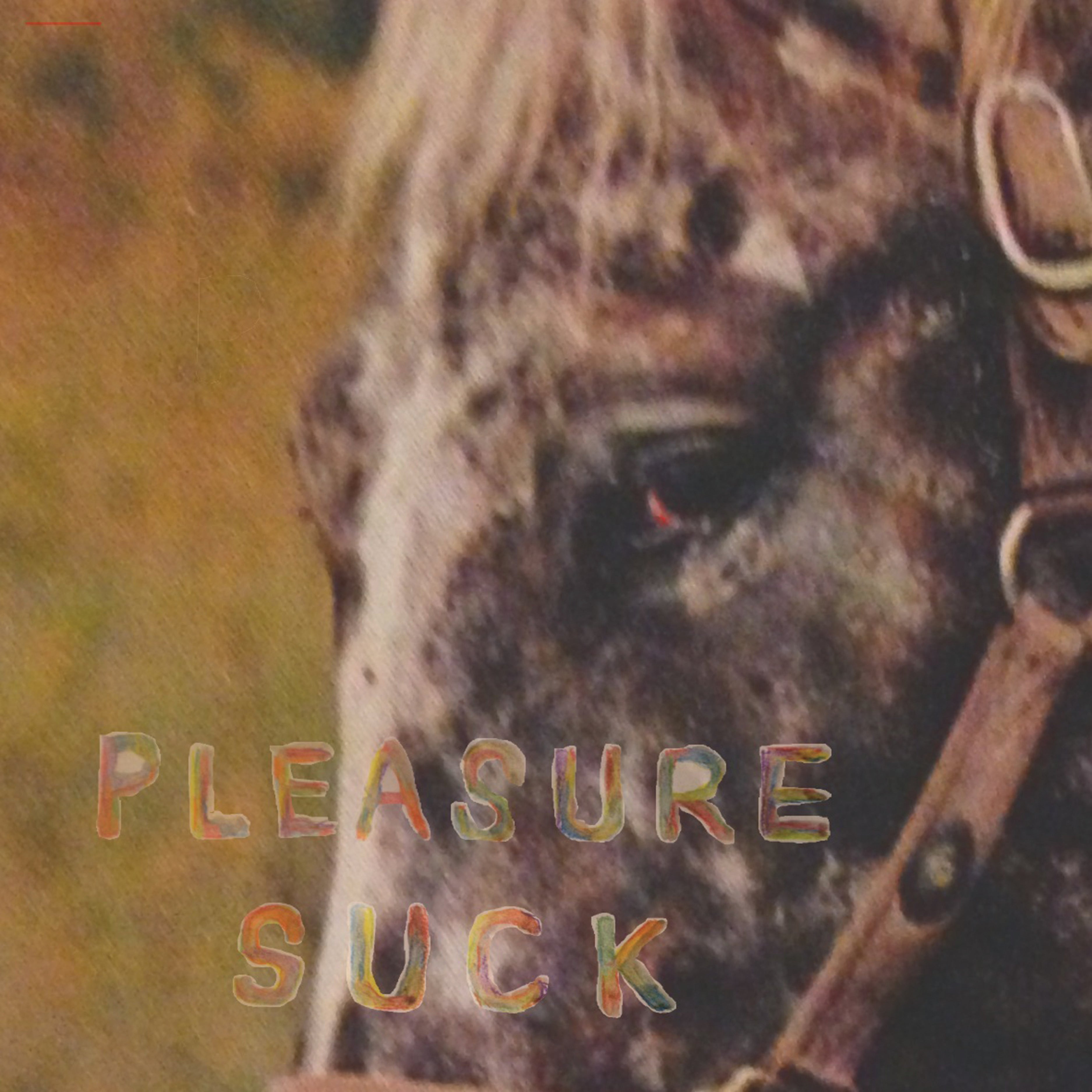 SPIRIT OF THE BEEHIVE - Pleasure Suck | CD