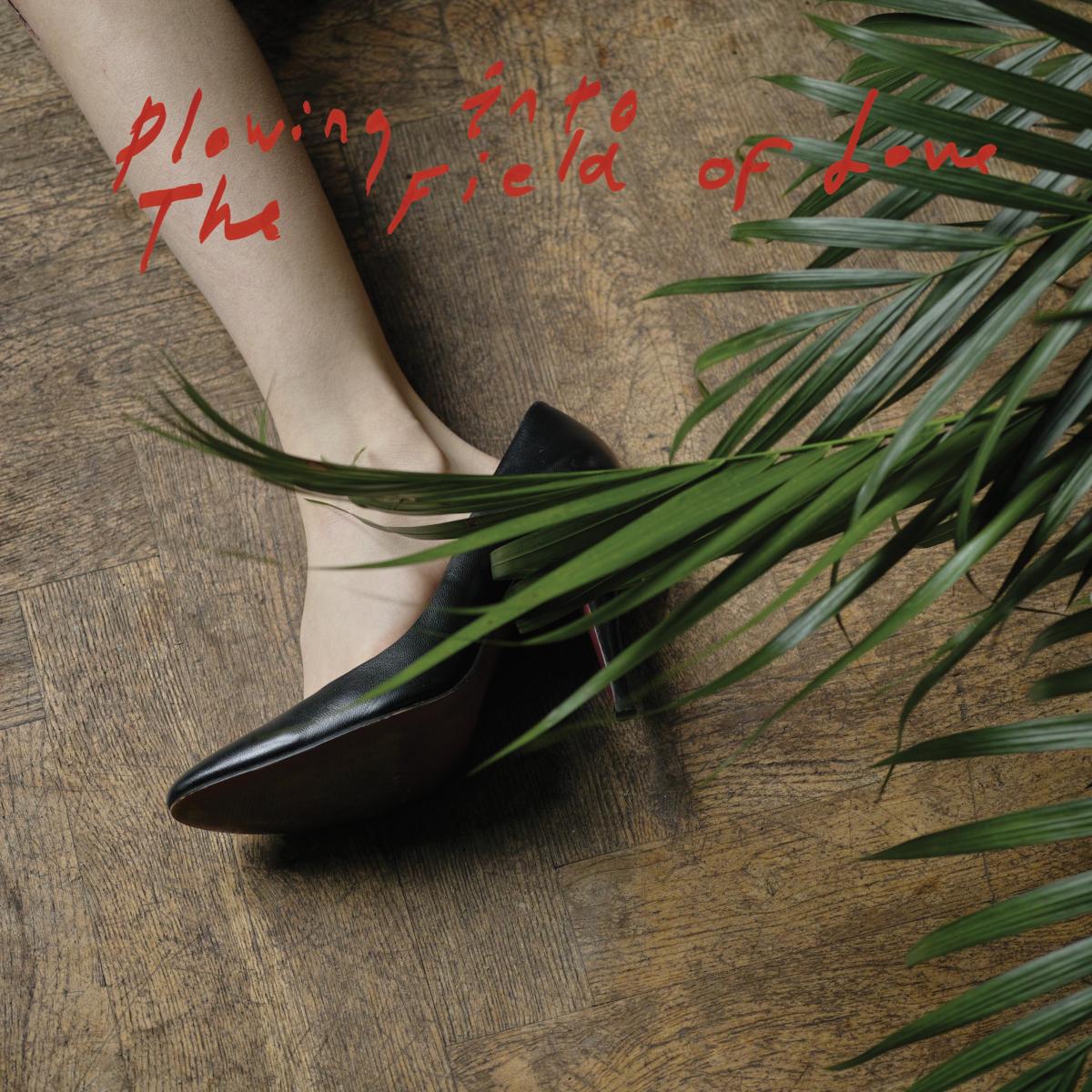 Iceage - Plowing Into the Field of Love | CD