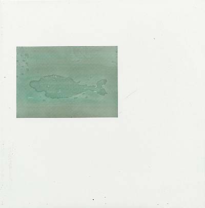 LAWRENCE - Pond | Vinyl