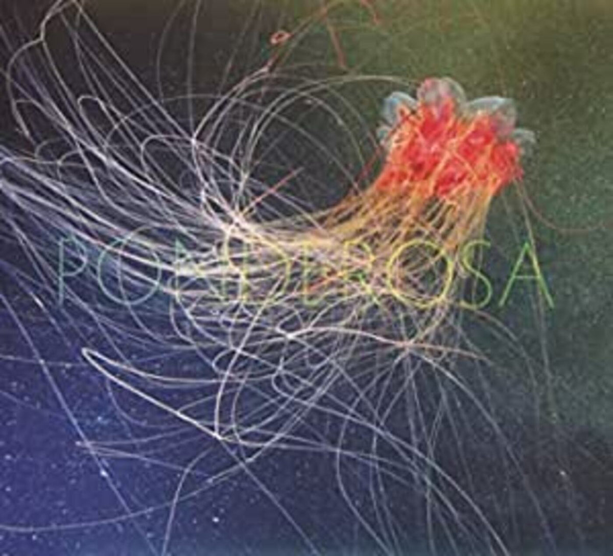 Ponderosa - Pool Party | CD