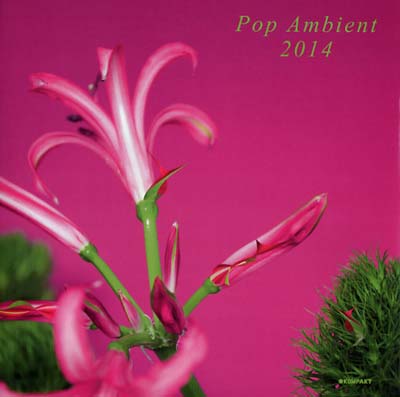 VA | Pop Ambient 2014 | CD